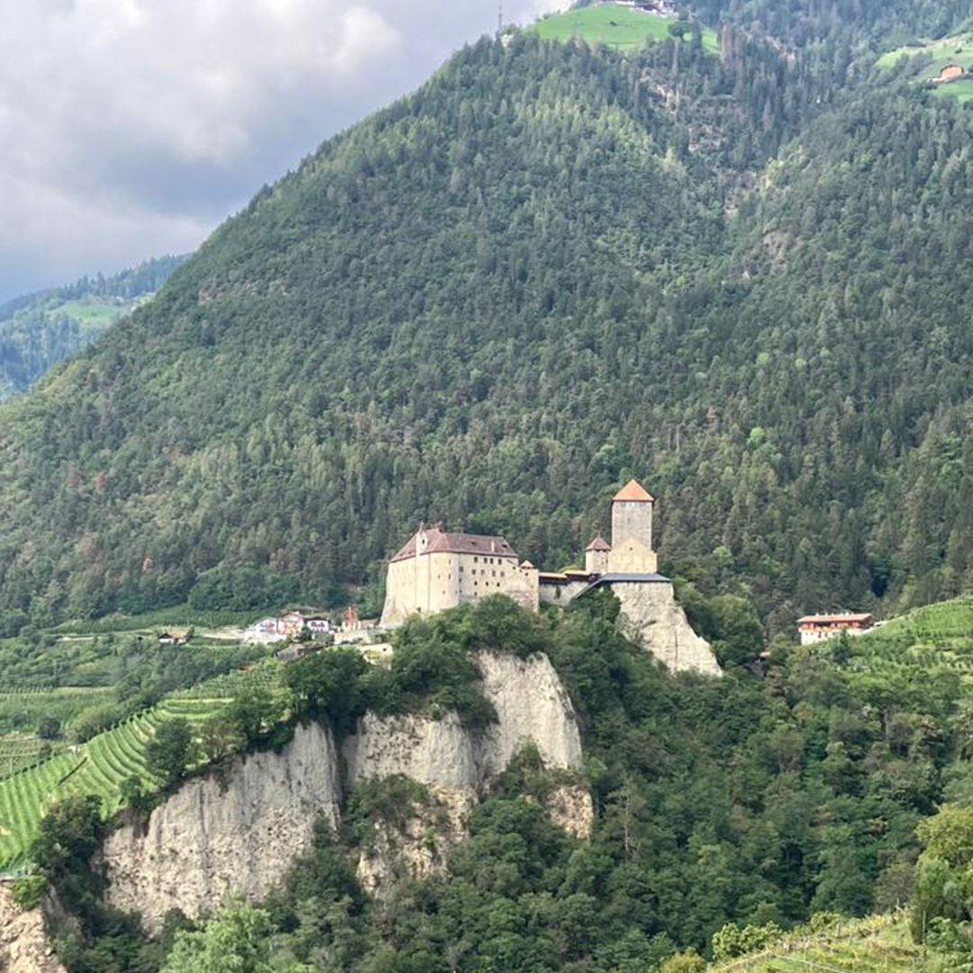 Verdienstkreuz Land Tirol 2023 - 1